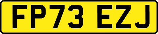 FP73EZJ
