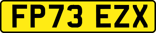 FP73EZX