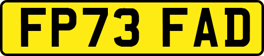 FP73FAD