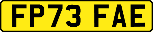 FP73FAE