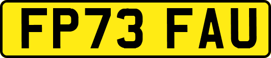 FP73FAU
