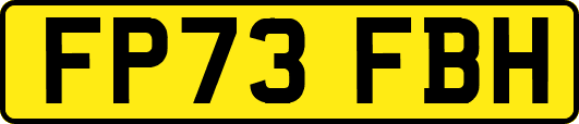 FP73FBH