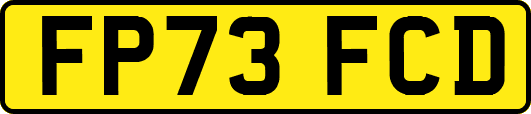 FP73FCD