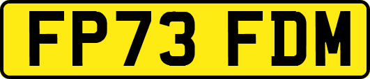 FP73FDM