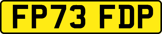 FP73FDP