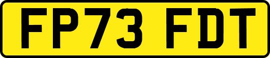 FP73FDT