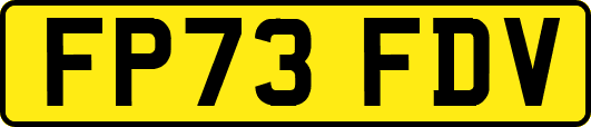 FP73FDV
