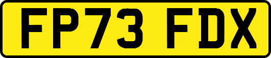 FP73FDX