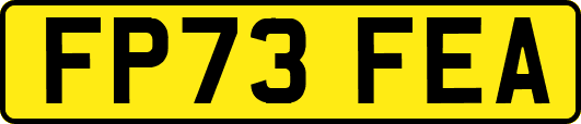 FP73FEA