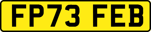 FP73FEB