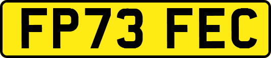 FP73FEC
