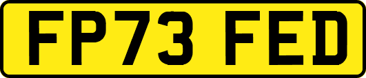 FP73FED
