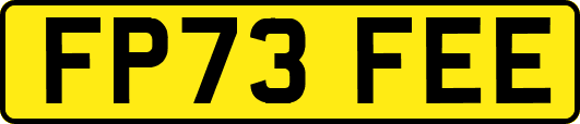 FP73FEE