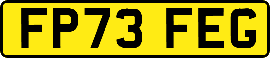 FP73FEG