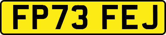 FP73FEJ