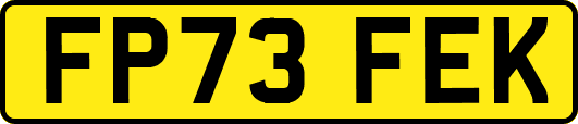 FP73FEK