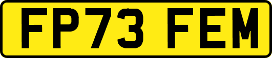 FP73FEM