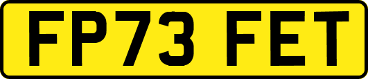 FP73FET