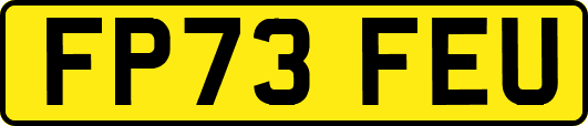 FP73FEU