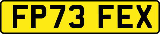 FP73FEX