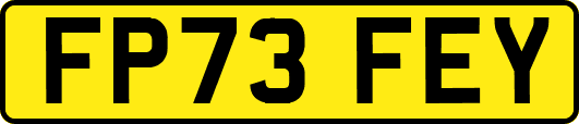 FP73FEY