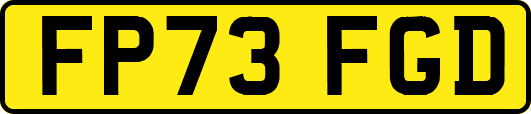 FP73FGD