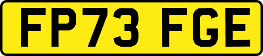 FP73FGE