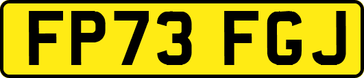 FP73FGJ