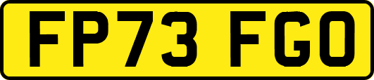 FP73FGO