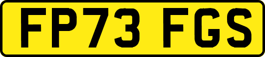 FP73FGS