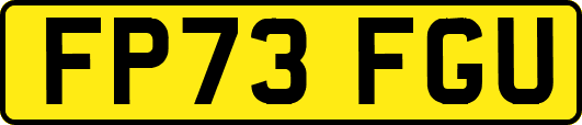 FP73FGU