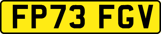 FP73FGV