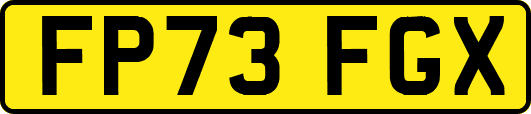 FP73FGX