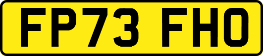 FP73FHO