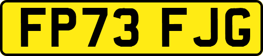 FP73FJG