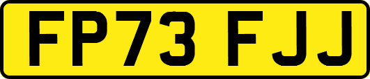 FP73FJJ