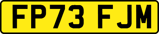FP73FJM