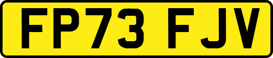 FP73FJV