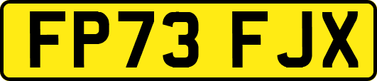 FP73FJX