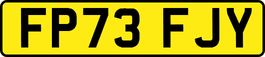 FP73FJY