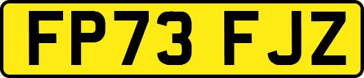 FP73FJZ