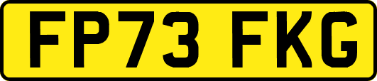 FP73FKG