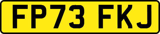 FP73FKJ