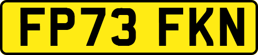 FP73FKN