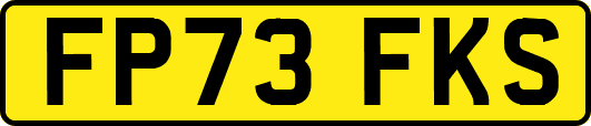 FP73FKS