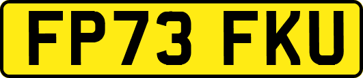 FP73FKU