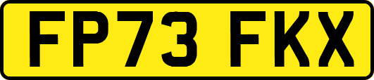 FP73FKX