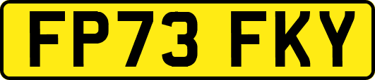 FP73FKY