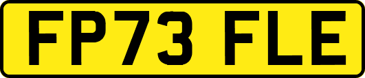 FP73FLE