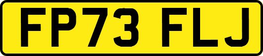 FP73FLJ
